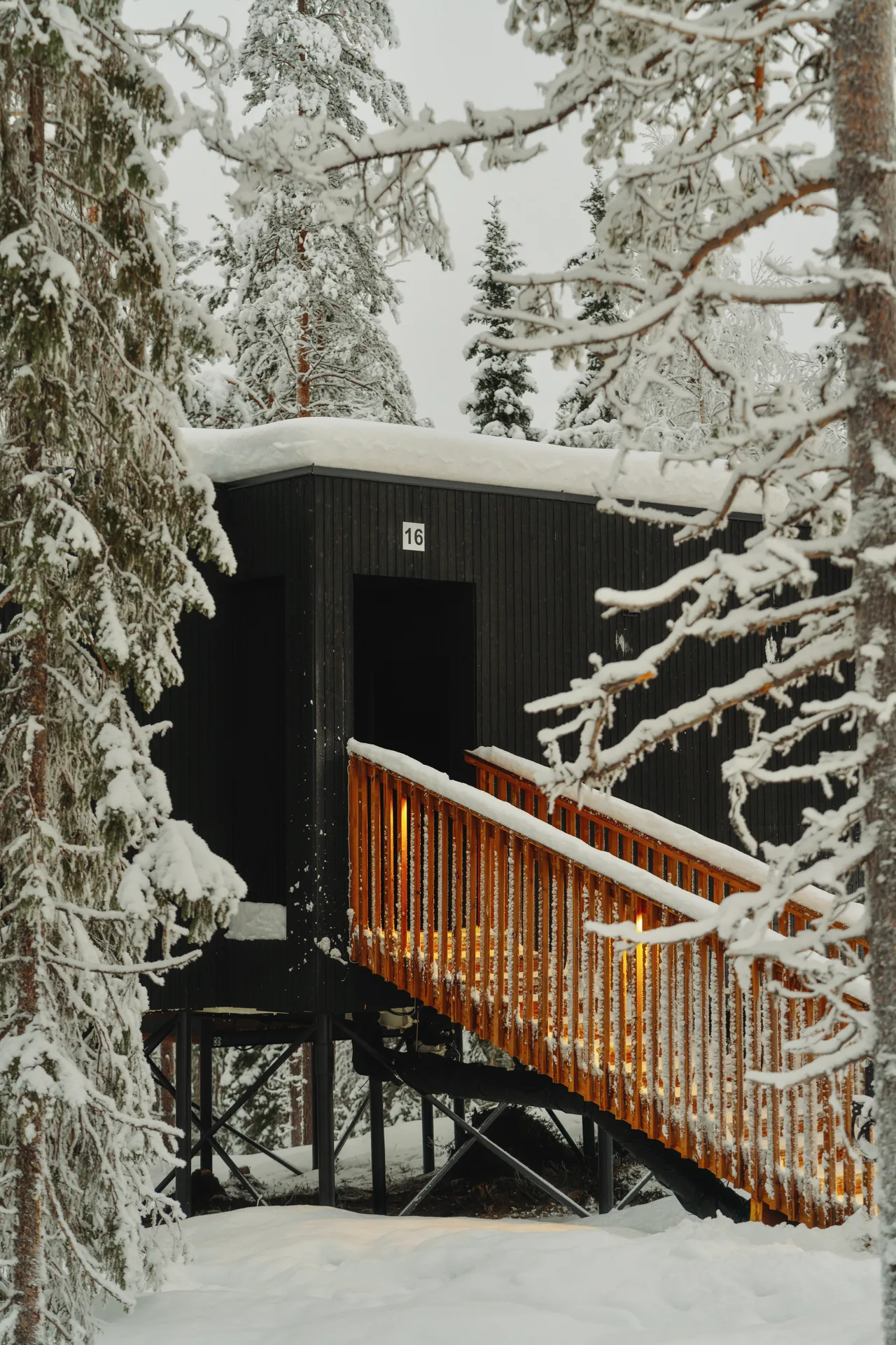 NOA Villas: about villa nature forest snow