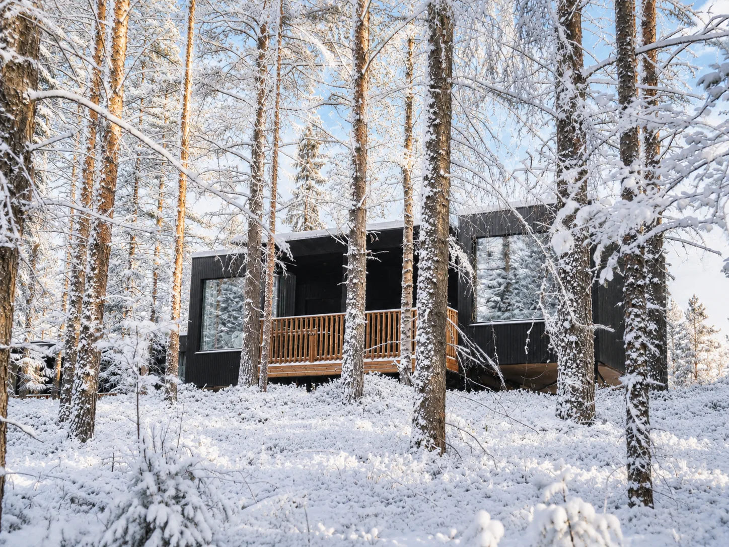 Noa villa exterior among snow-covered trees