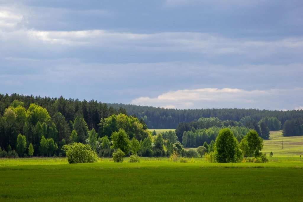 Vilnius Residences, Near Vilnius, Lithuania